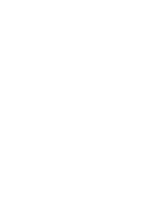 bodi blends logo